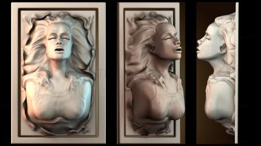 3D мадэль PH_3518 (STL)