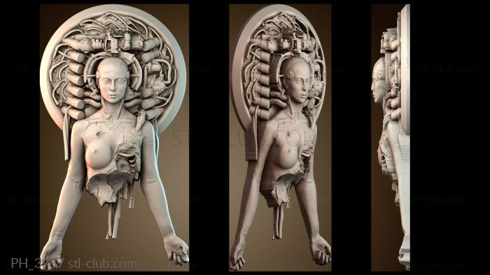 Панно художественные PH_3987