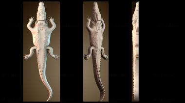 3D model PH_4639 (STL)