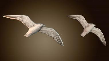 3D model PH_4645 (STL)