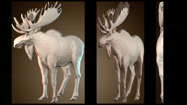 3D model PH_4690 (STL)