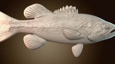 3D мадэль PH_4746 (STL)