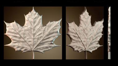 3D model PH_4778 (STL)