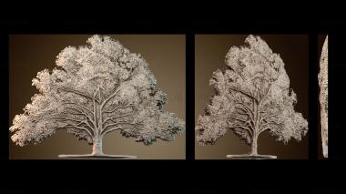 3D model PH_4786 (STL)