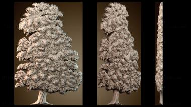 3D мадэль PH_4790 (STL)