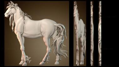 3D мадэль PH_4885 (STL)