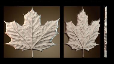 3D мадэль PH_4934 (STL)