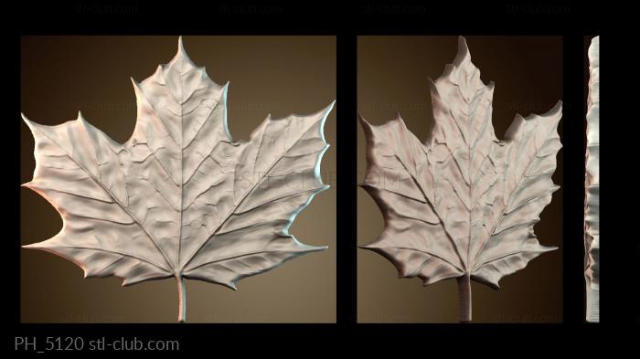 Панно художественные PH_5120