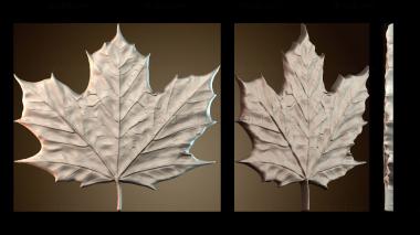 3D модель PH_5120 (STL)