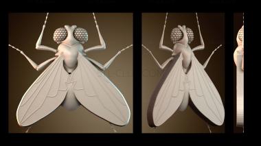 3D мадэль PH_5139 (STL)