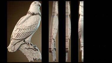 3D model Eagle bird (STL)