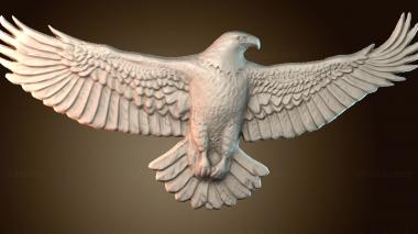 3D model Eagle spread wings (STL)