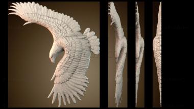 3D мадэль Орел в полете (STL)