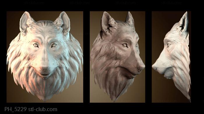 Панно художественные PH_5229