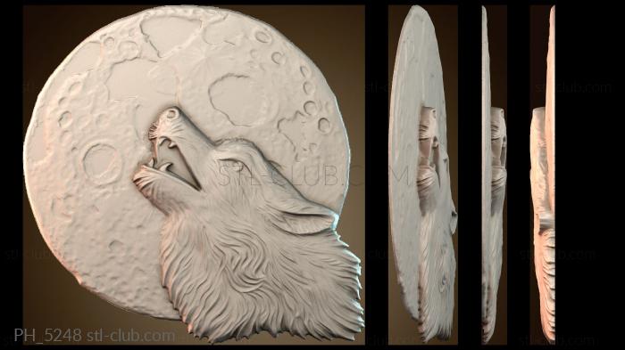 Панно художественные PH_5248