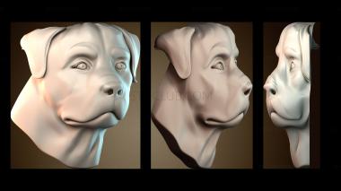 3D мадэль PH_5289 (STL)