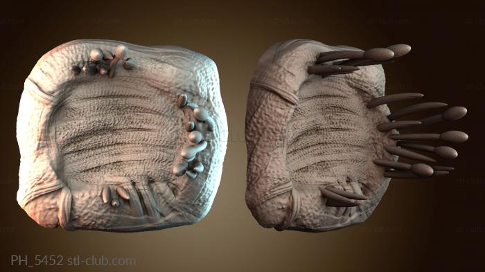 Панно художественные PH_5452