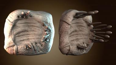 3D модель Болотная местность (STL)