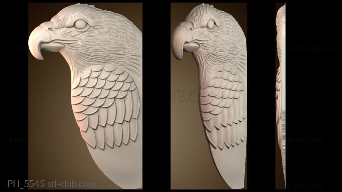 Панно художественные Eagle pattern