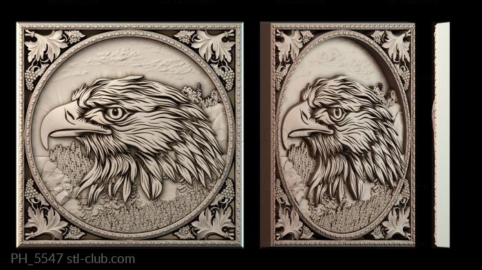 Панно художественные Eagle pattern