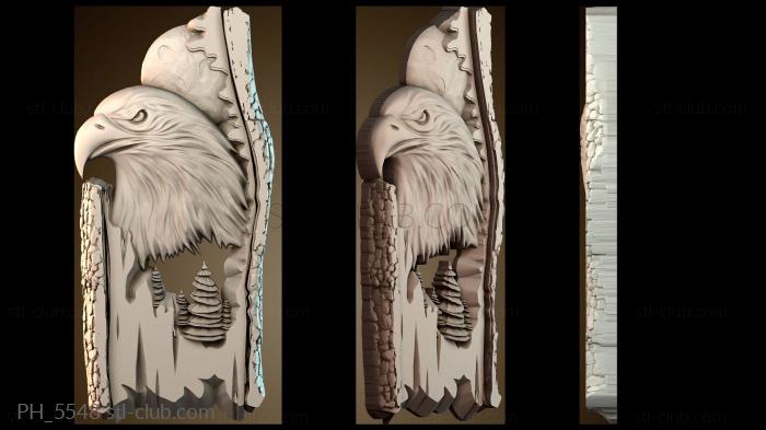 Панно художественные Eagle pattern