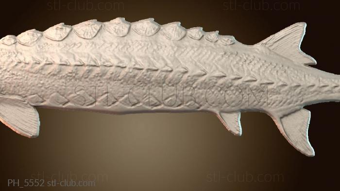 Панно художественные Fish