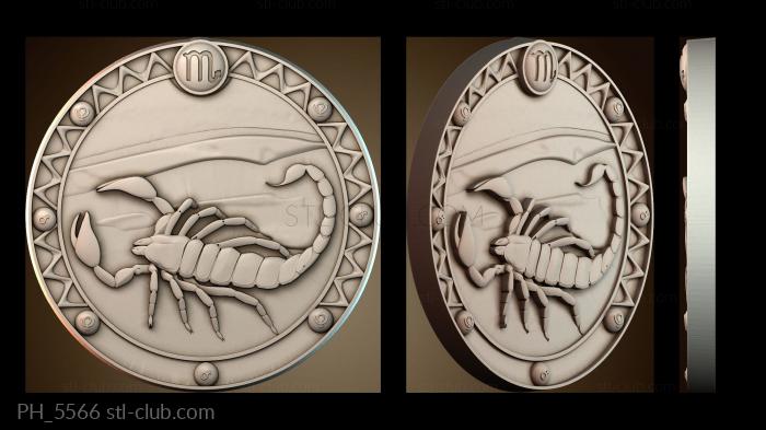 Панно художественные Scorpion pattern