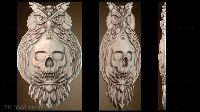 Панно художественные Owl amulet