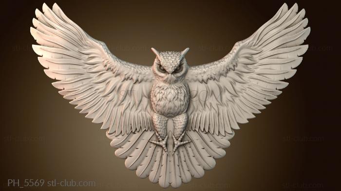 Панно художественные Owl flight