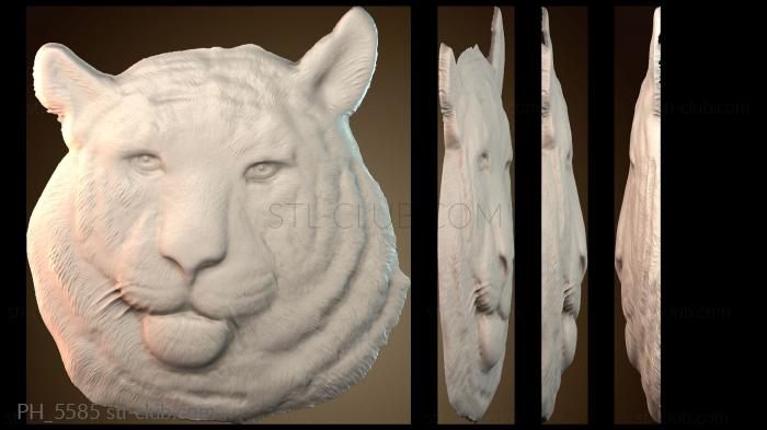 Панно художественные PH_5585