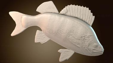 3D мадэль PH_5748 (STL)