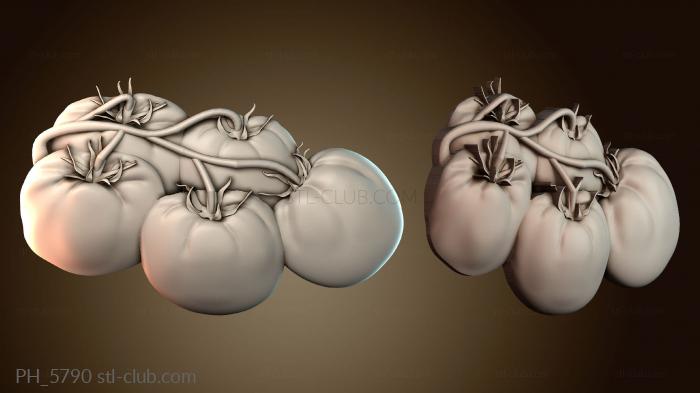 Панно художественные PH_5790