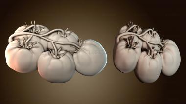 3D model Tomatos (STL)