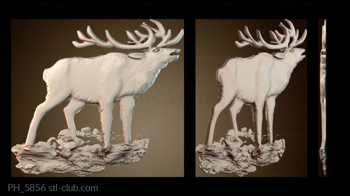 Панно художественные PH_5856