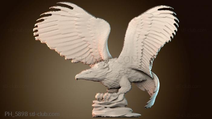 Панно художественные PH_5898