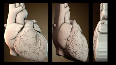 3D мадэль PH_6102 (STL)