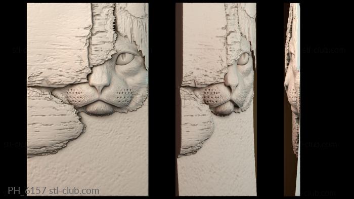 Панно художественные PH_6157