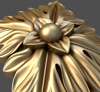 3D model Physalis (STL)