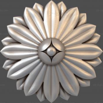 3D model Rudbeckia (STL)