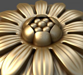 3D model Sunflower (STL)