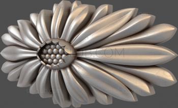 3D model Gerbera oval (STL)