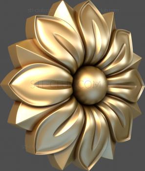 3D model Anemone (STL)