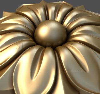 3D model Anemone (STL)