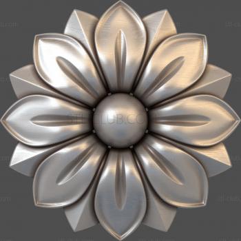 3D model Anemone (STL)