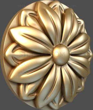 3D model Brassica (STL)