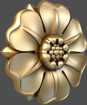 3D model Oxypetalum (STL)