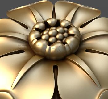 3D model Oxypetalum (STL)