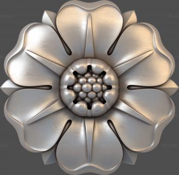 3D model Oxypetalum (STL)