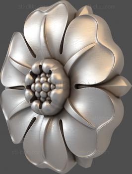 3D model Oxypetalum (STL)