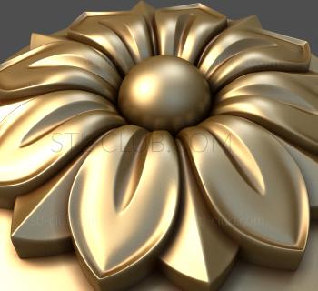 3D model Anemone (STL)